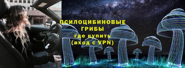 мяу мяу мука Пролетарск