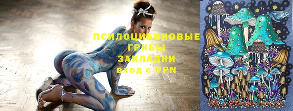 мяу мяу мука Пролетарск