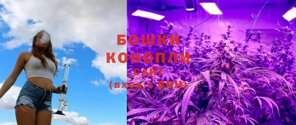 PSILOCYBIN Струнино