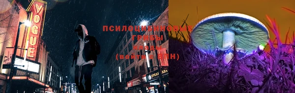 мяу мяу мука Пролетарск