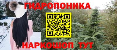гашик Аргун