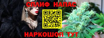 гашик Аргун