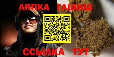гашик Аргун