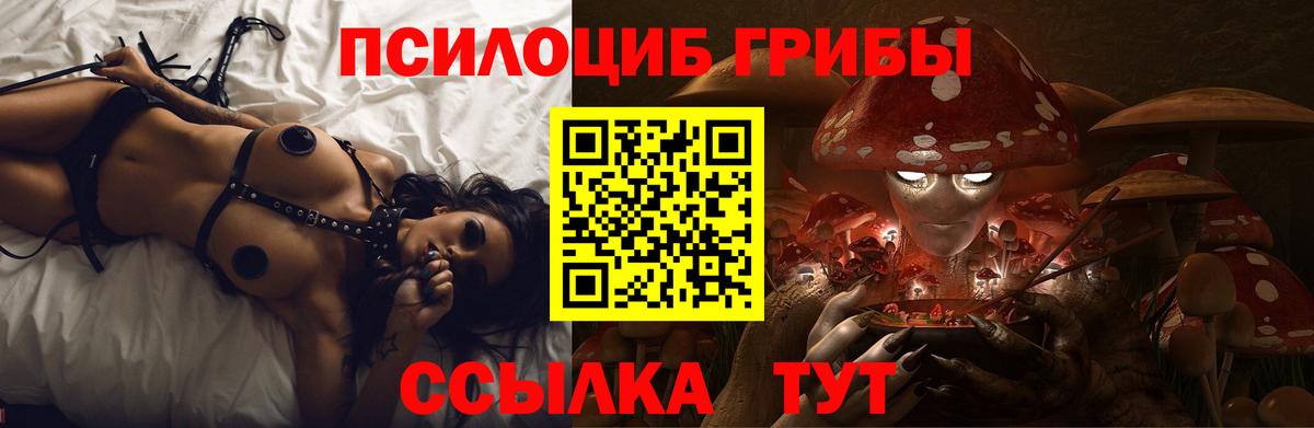 Псилоцибиновые грибы Psilocybe  Вход с VPN  Асино 