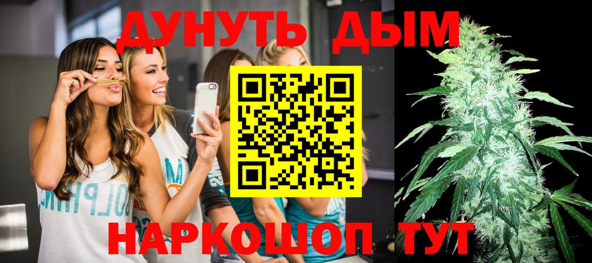 МАРИХУАНА тримм  Канабис планчик  Асино  Вход с VPN 